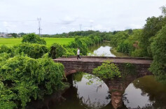 视频 | 来雨母山，“邂逅”一座古桥，倾听它的前世今生