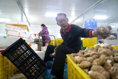 衡阳市蒸湘区发展新型农村集体经济，让村民腰包“鼓起来”