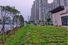 “快响应”彰显“为民情”！衡阳蒸湘区闲置地块“蝶变”口袋公园