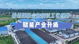 视频 | 跟着记者来探厂，看蒸湘区老牌粮企如何以工艺创新赋能产业升级