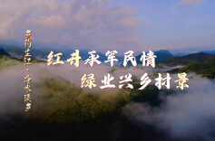 视频 | 芷江冷水溪乡：红井承军民情 绿业兴乡村景