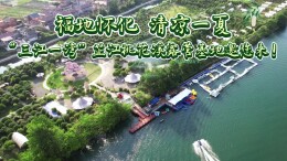 视频 | 芷江桃花溪露营基地邀您来，这里是一片清凉绿洲！