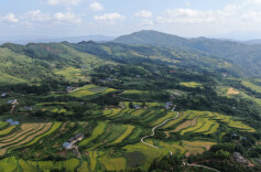 打好系列党建“组合拳”，中方县半界村蜕变为产业兴旺的“明星村”