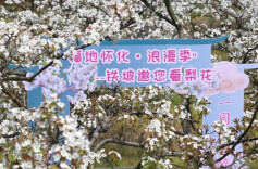 千顷雪浪绘就振兴图景！中方县铁坡镇“梨花经济”激活乡村振兴新动能