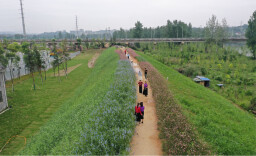 中方县：花海扮靓荆坪古村，景区提质引客来
