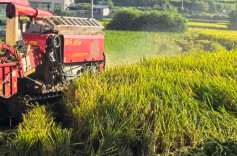 不烧一把火，不污一片天——中方县泸阳镇“生态账本”里的治理秘诀
