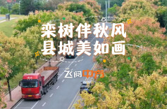 飞阅中方：栾树伴秋风 县城美如画