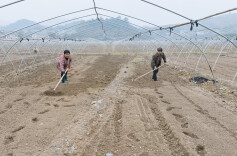 人勤春早、万象 “耕” 新，中方县春耕备耕如火如荼展开