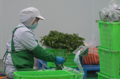 中方县：备好“开学第一餐”，配送企业迎“大考”