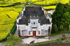 中方县袁家镇：金色花海漾春意，乡野田园入画来