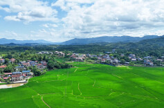 中方县火马塘村：稻浪翻涌美如画 一抹青绿沁人心