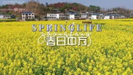视频 | 一张机票来春日中方，赏春踏青正当时