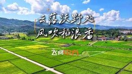 视频 | 中方县：云落沃野处 风吹稻浪香