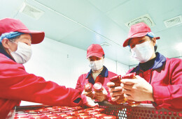 食品加工提质效