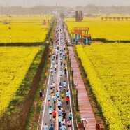 纵情春日花海，跑一场马拉松，撮一顿虾