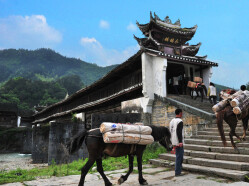 茶马古道上，出发从未停止