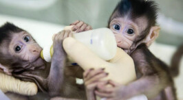 迈向国际第一方阵：中国科技成就巡礼