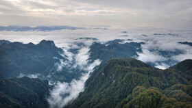 湖南兩地入選“世界最佳自然保護地” 系八大公山和壺瓶山兩個國家級自然保護區