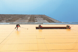 ​城市“蜘蛛侠”　擦亮“天际线”