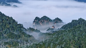 冬日莽山美如画