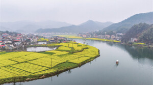 春到水乡 画里行舟