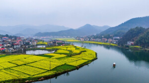 春到水乡 画里行舟