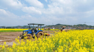 春耕备耕正当时