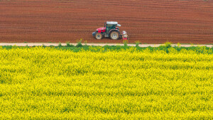 抢抓农时忙春耕