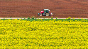 抢抓农时忙春耕