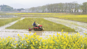 春分时节农事忙