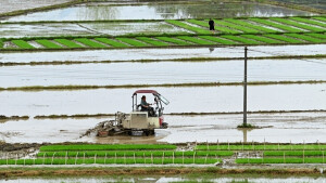沃野春耕正当时