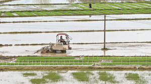 沃野春耕正当时