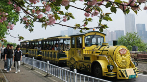 橘子洲上春色撩人