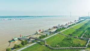 推进绿企创建 打造生态码头