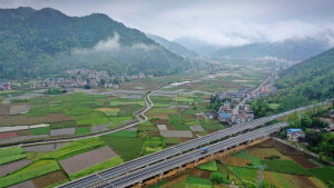 红色热土 绿意新卷