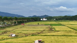 农机作业忙“双抢”
