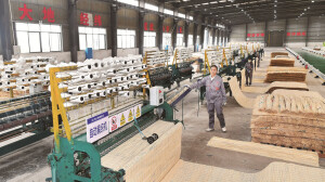 以竹赋能绿色基建