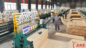 以竹赋能绿色基建