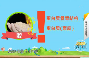 面条中含有橡胶？