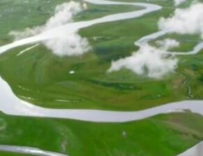 时政微视频《绿色发展 走向世界》