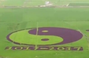 永州种创意彩稻纪念周敦颐诞辰1000周年