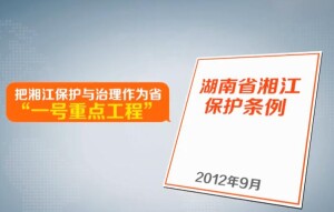 以河长制促河长治