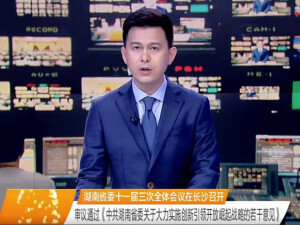 湖南省委全会召开 审议通过《意见》