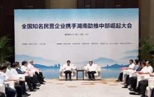 全国知名民营企业携手湖南助推中部崛起大会在长沙举行