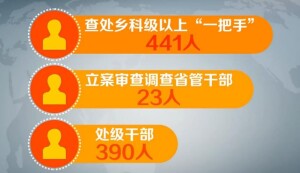 2018年上半年湖南&ldquo;打虎拍蝇&rdquo;