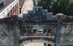 安化黑茶小镇：健全黑茶产业链