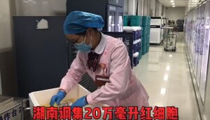 热血战&ldquo;疫&rdquo;!湖南调集20万毫升血液驰援武汉