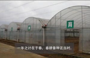 视频丨永州：又到春耕时 机械来助力