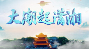 大潮起潇湘！中国（湖南）自由贸易试验区宣传片来了