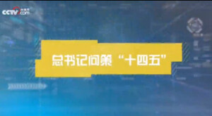 微视频 | 总书记问策&ldquo;十四五&rdquo;